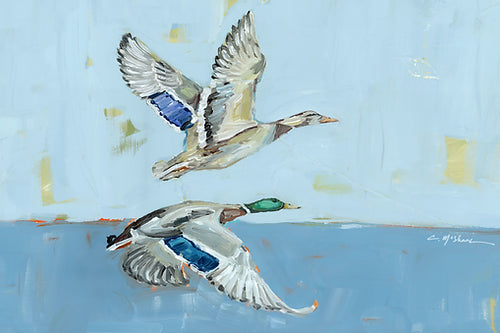 "Soaring High" Samsung TV download