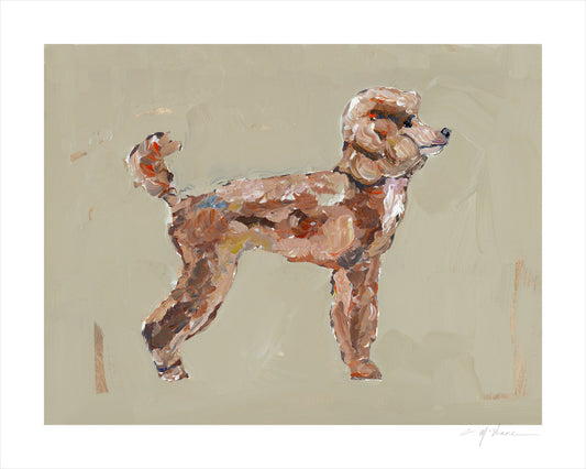 "Poodle Apricot" on paper