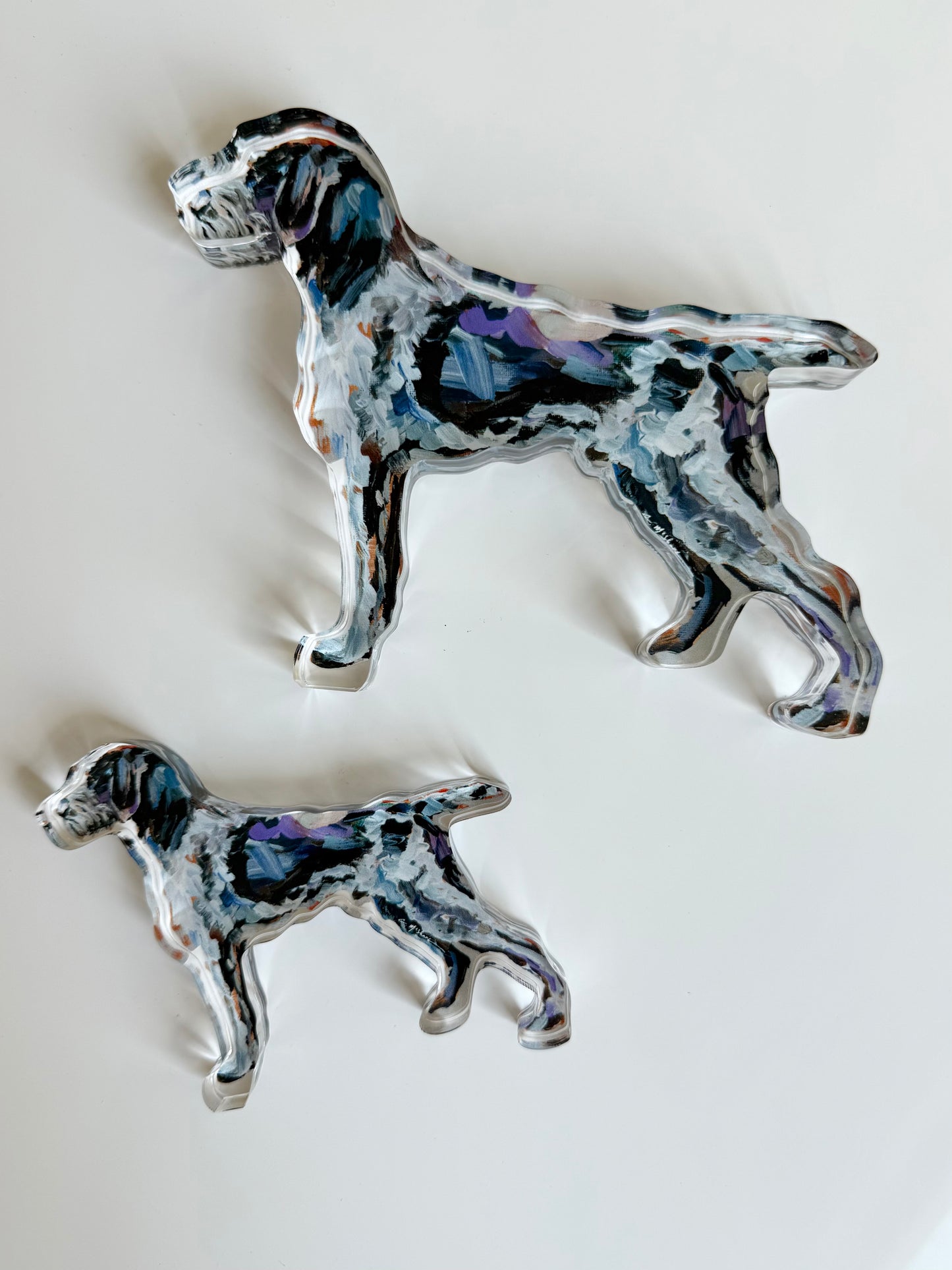 "German Wirehaired Griffon" acrylic