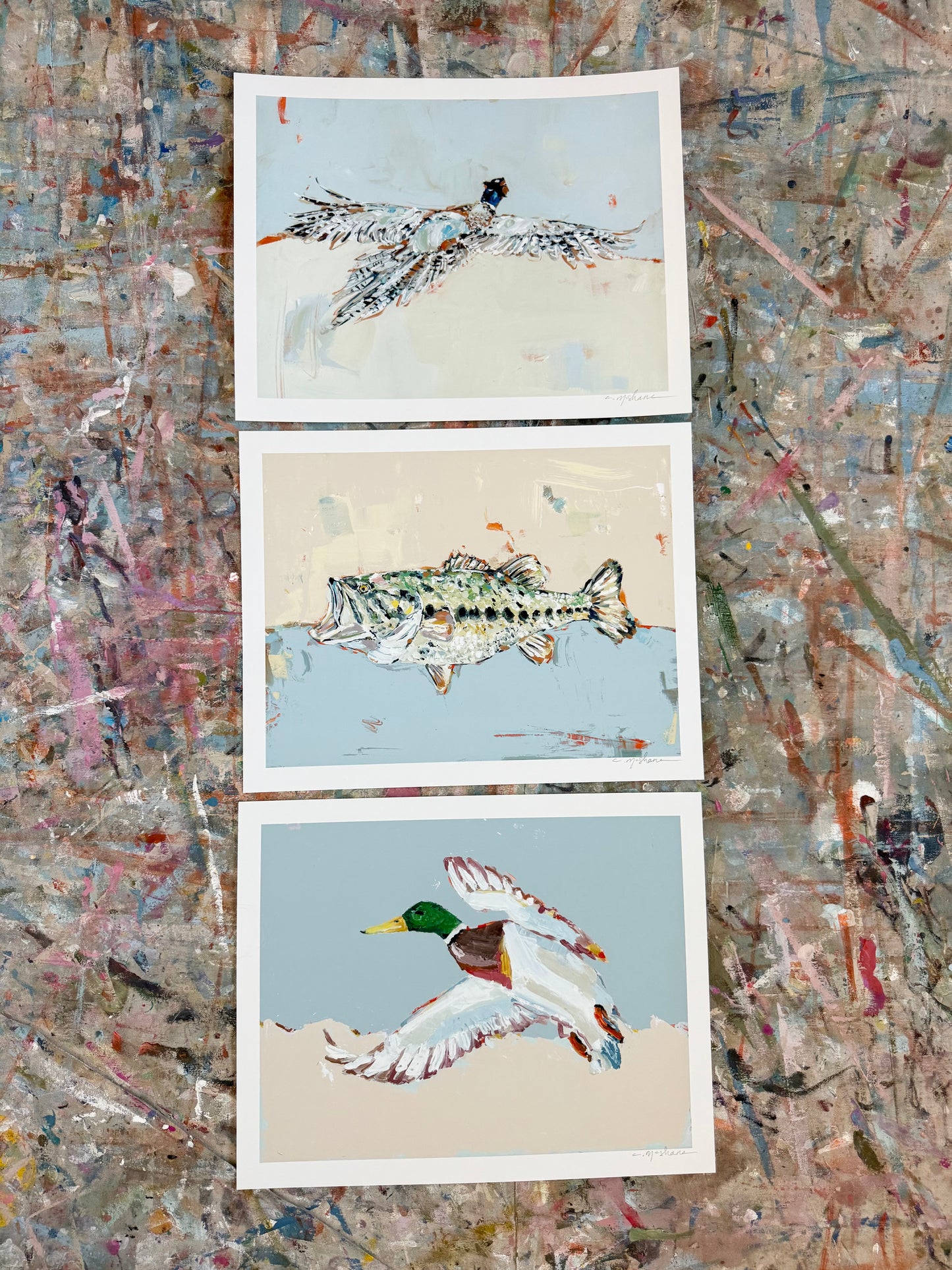 Pheasant, Bass, & Mallard 14X11 hand signed paper prints (set of 3)