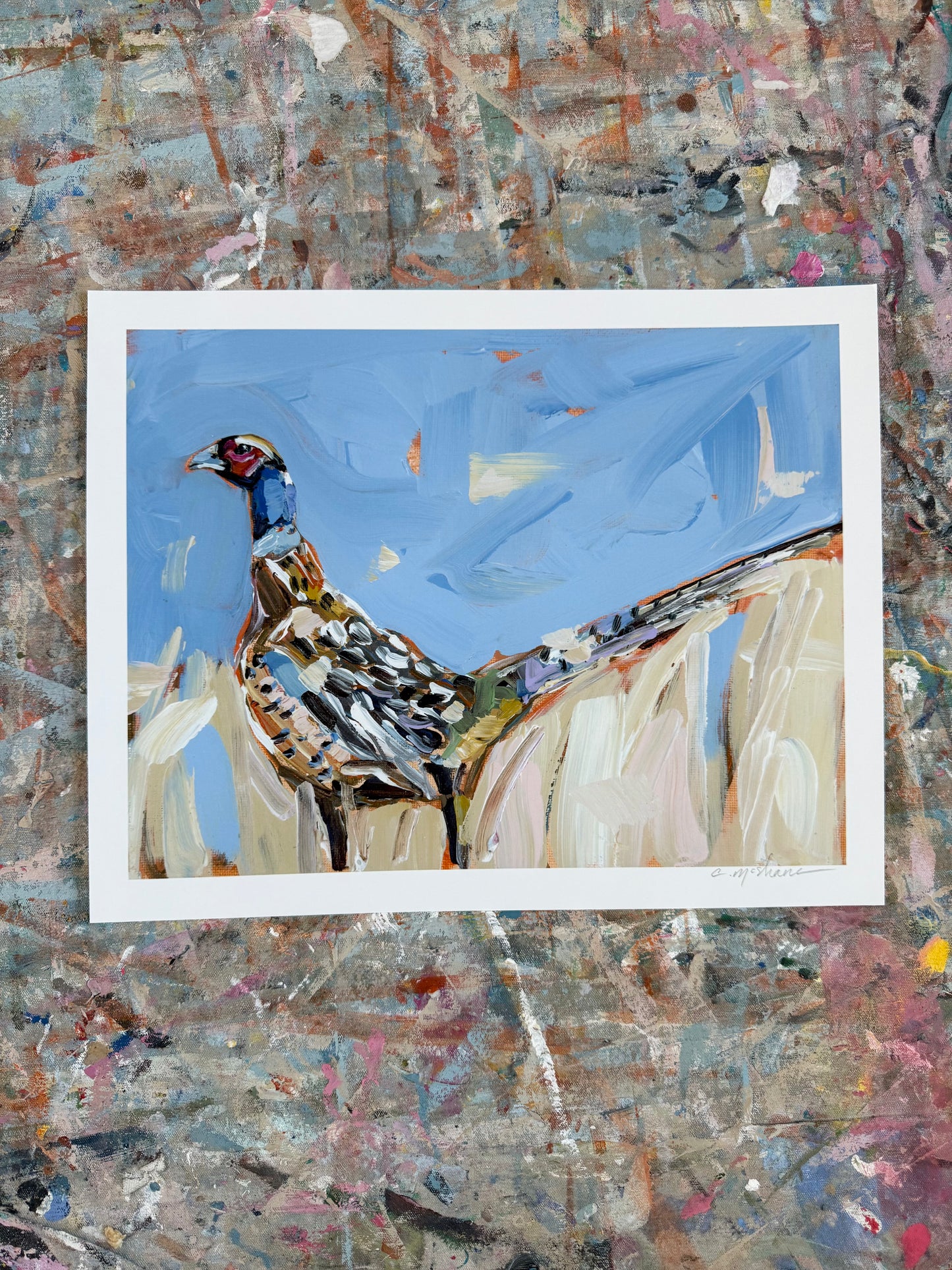 Pheasant 14X11 hand signed paper prints (single)