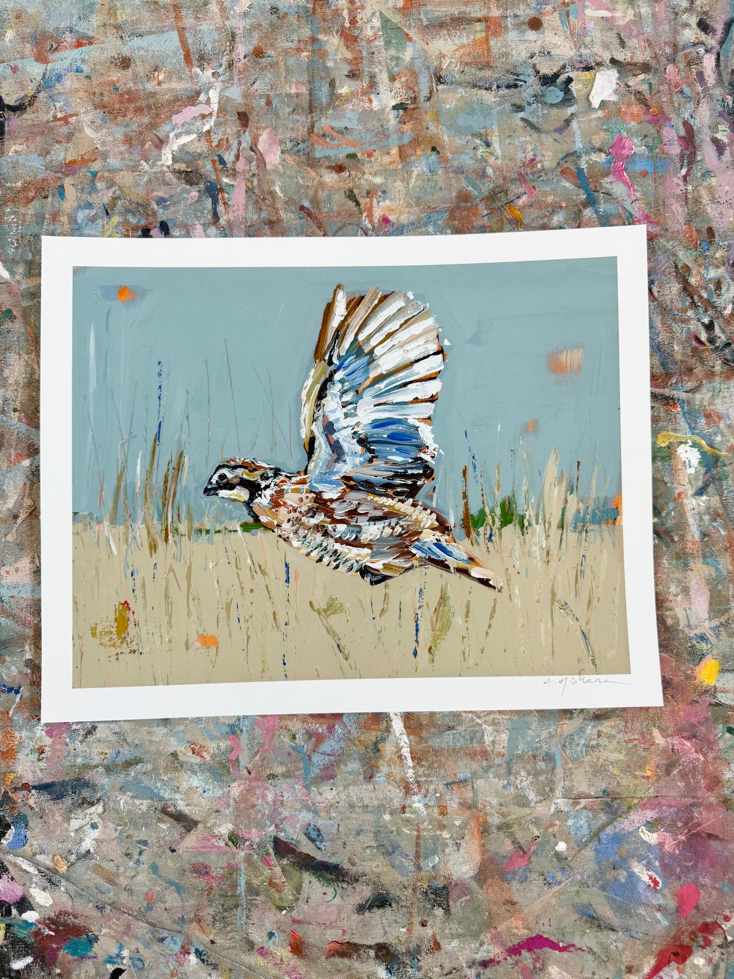 Quail 14X11 hand signed paper prints (single)