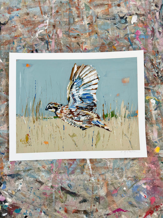 Quail 14X11 hand signed paper prints (single)