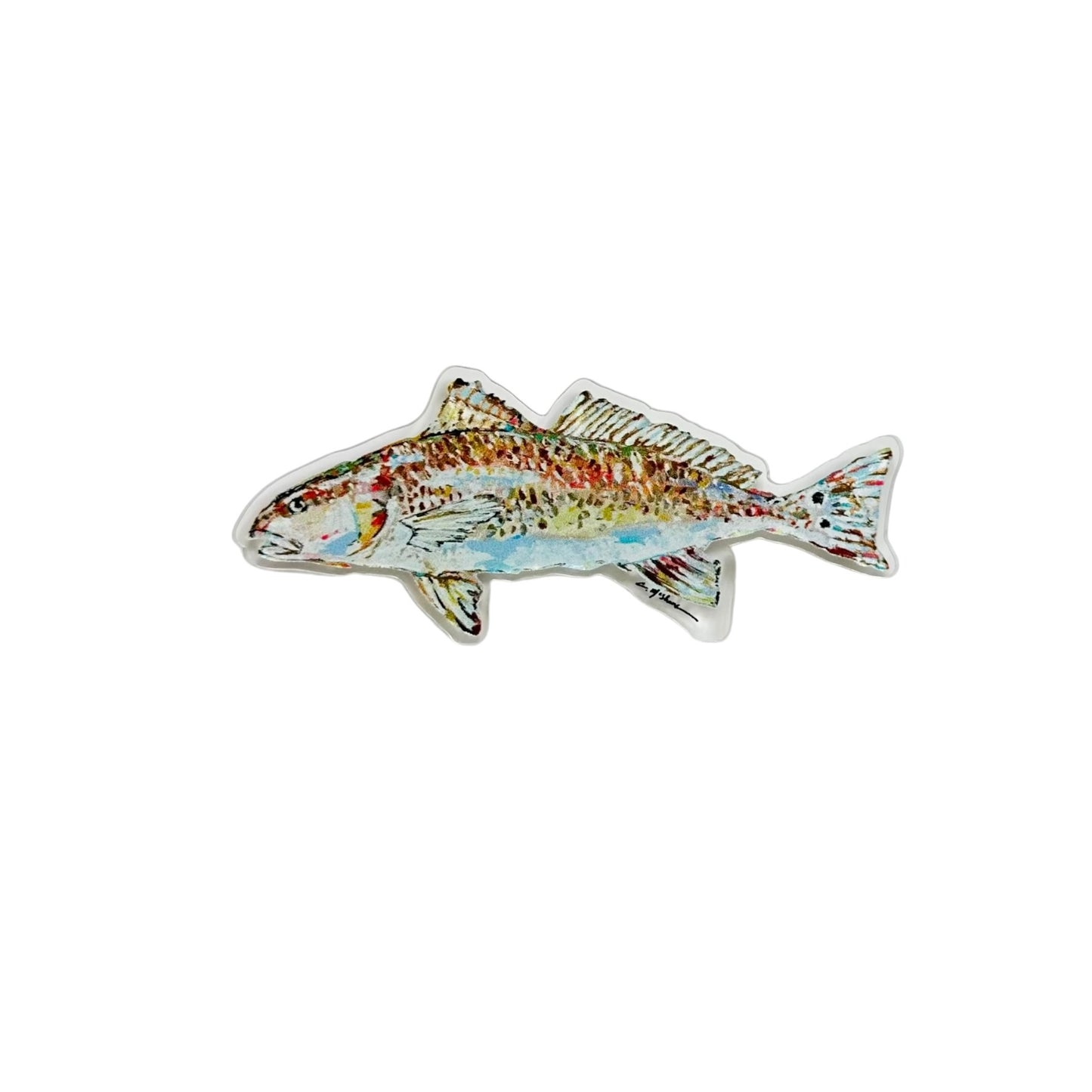 Fish acrylic magnets | Interchangeable Tabletop & Refrigerator Magnet