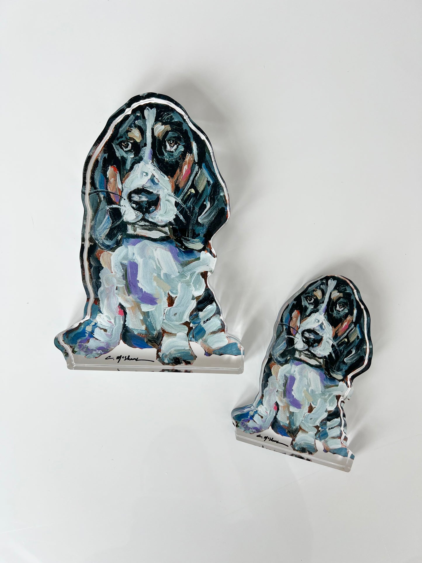 "Basset Hound Black & White" acrylic