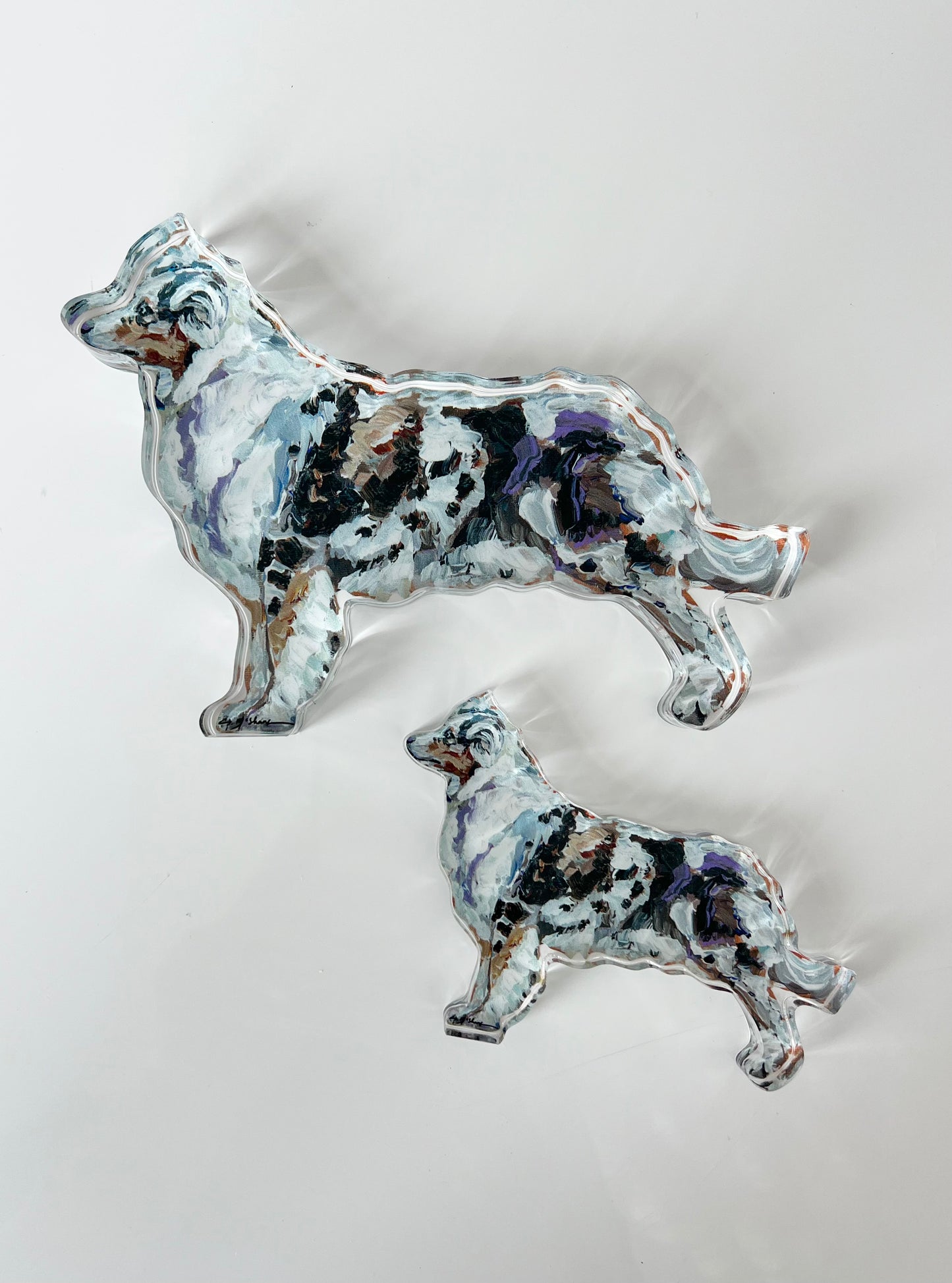 "Australian Shepherd Blue Merle" acrylic