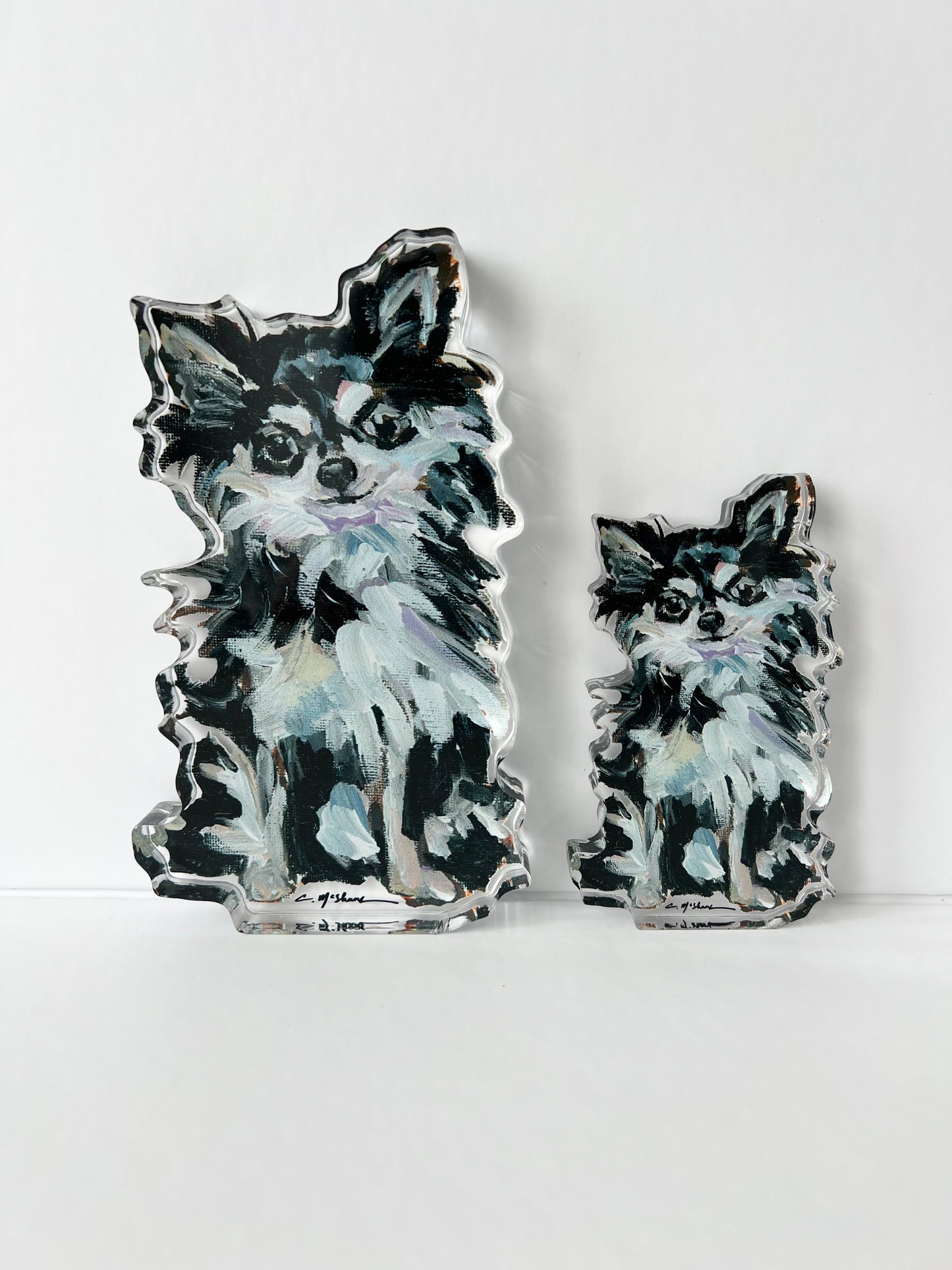 "Chihuahua Black & White Long-hair" acrylic