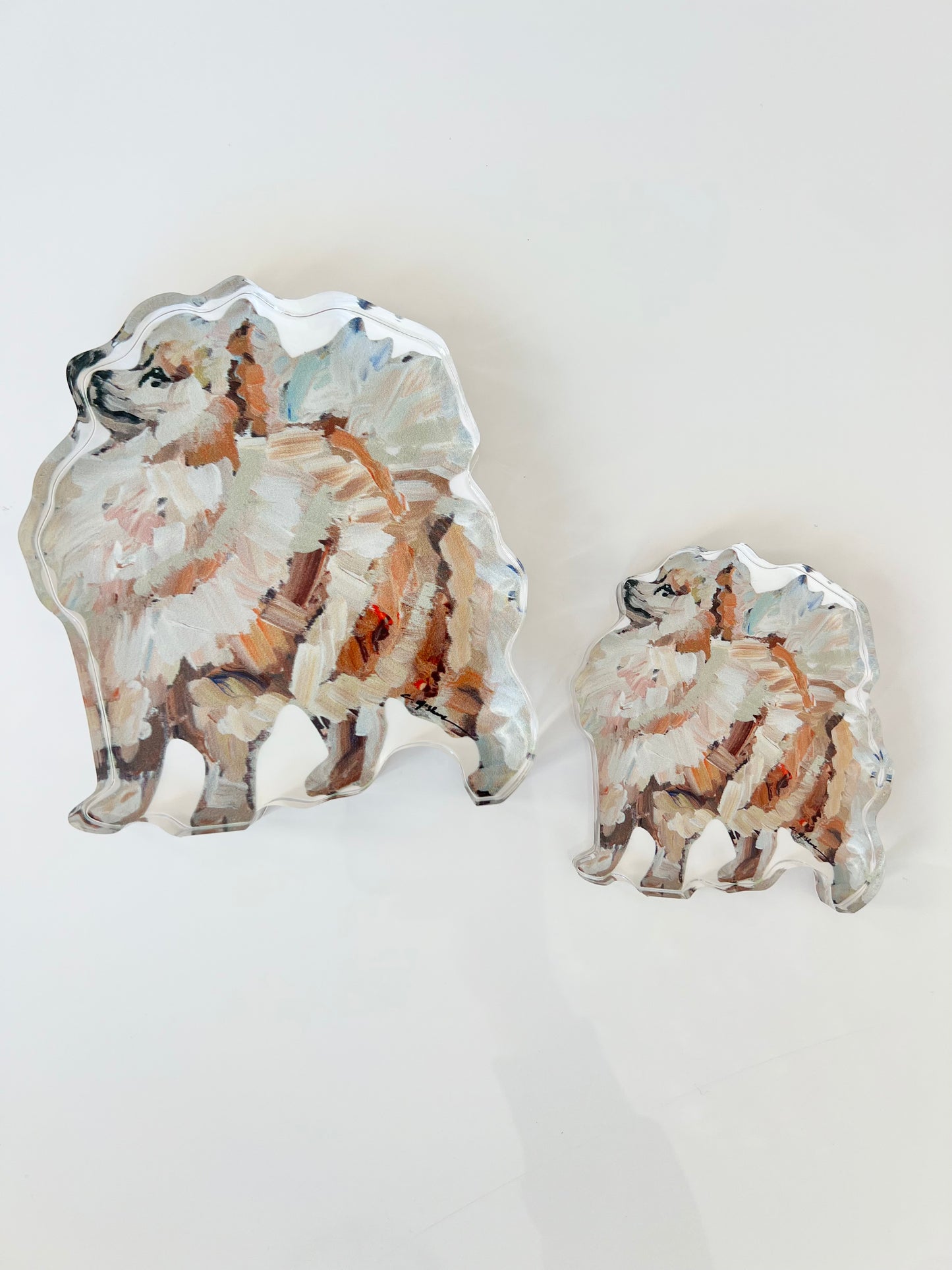 "Pomeranian Apricot" acrylic