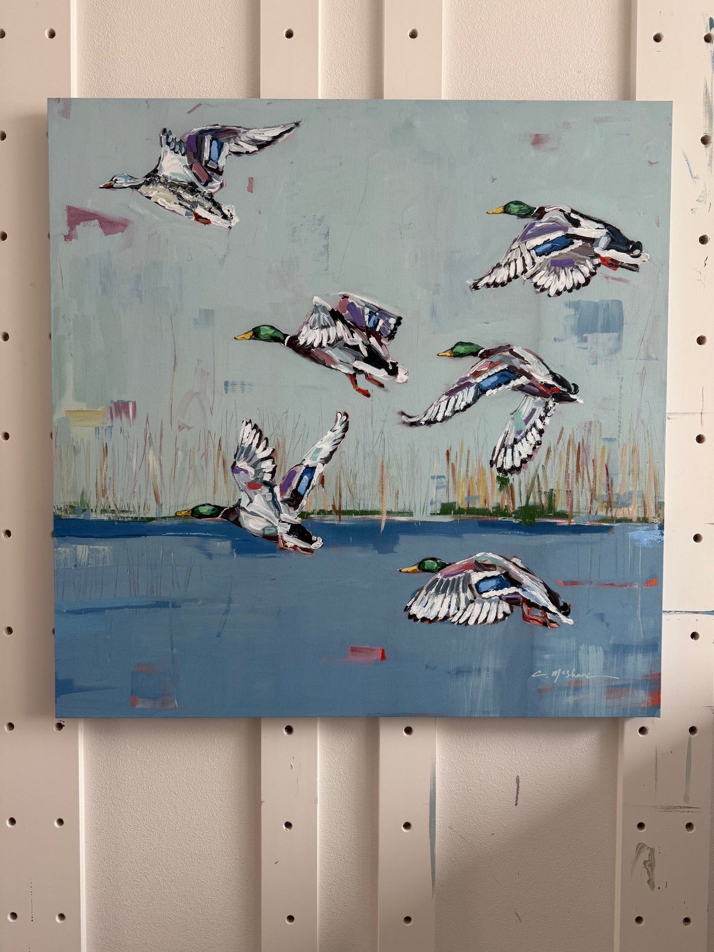 "Coastal Mallard" canvas print