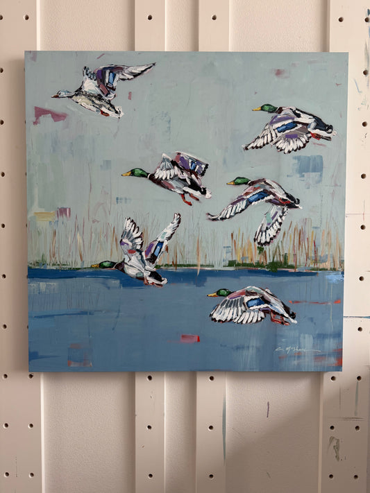 "Coastal Mallard" canvas print