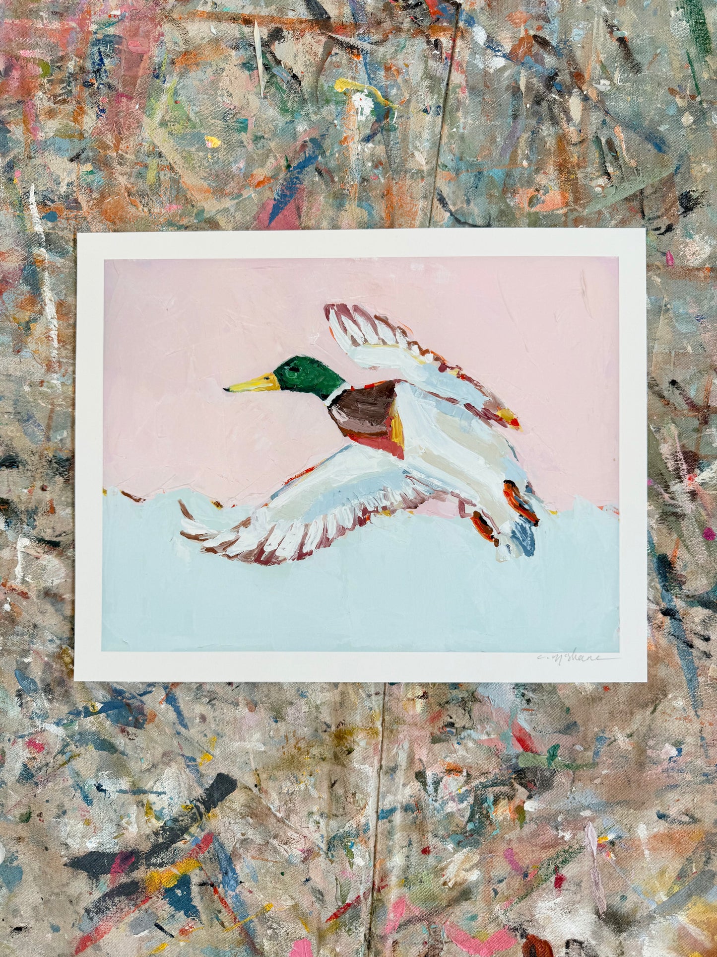 Mallard 14X11 hand signed paper prints