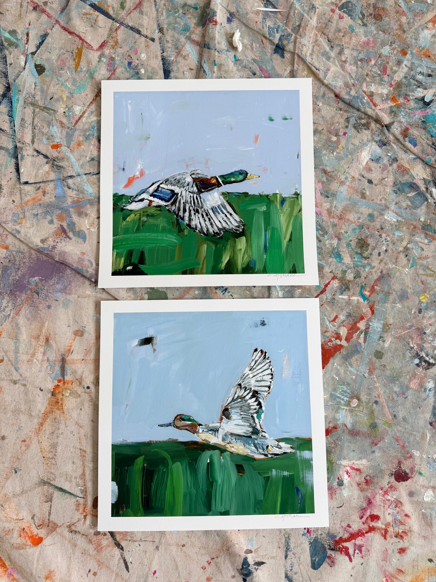 "Mallard & Green Wing Teal Duck" hand signed paper prints (set of 2)