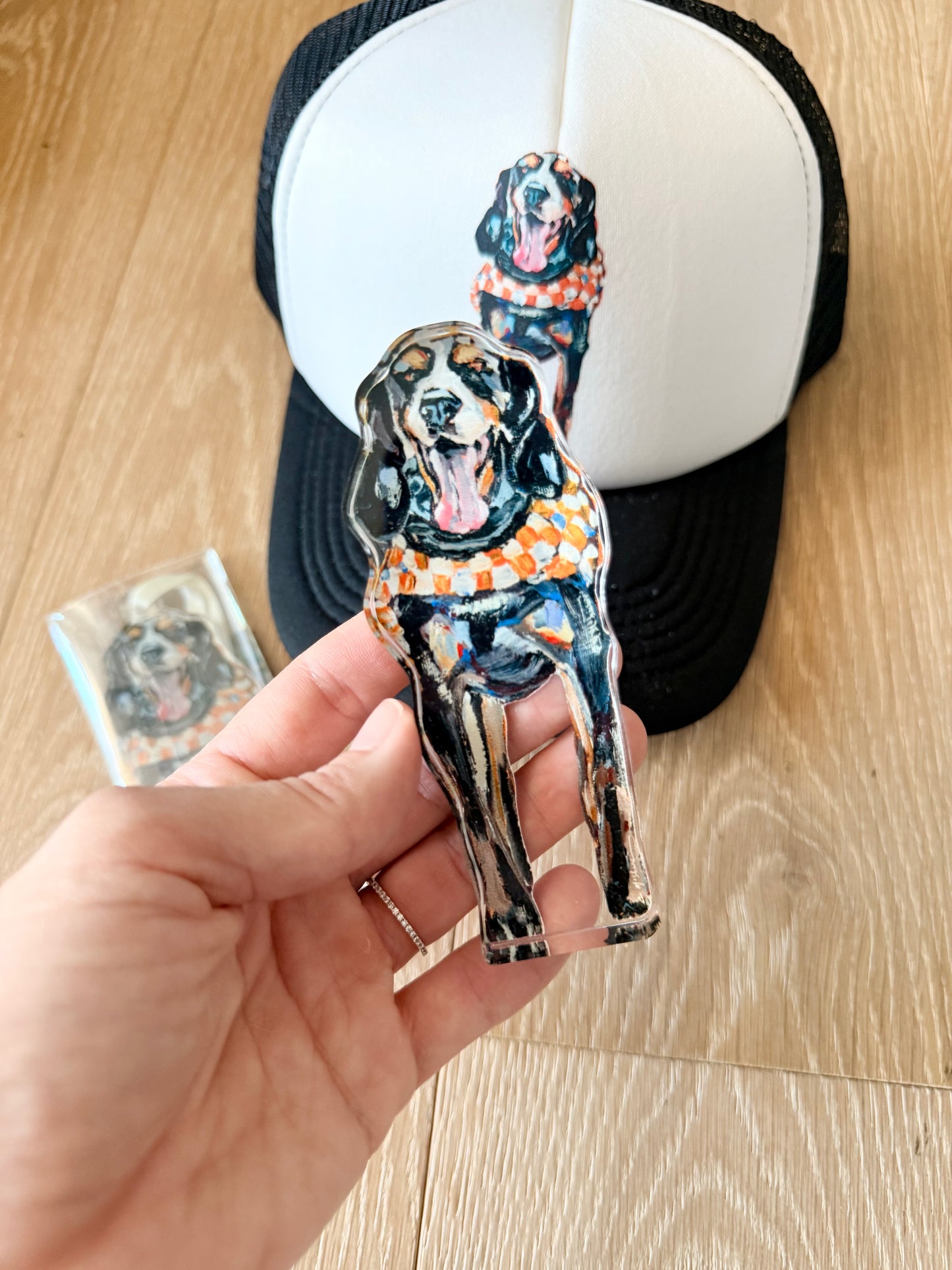 Hound Gift Pack