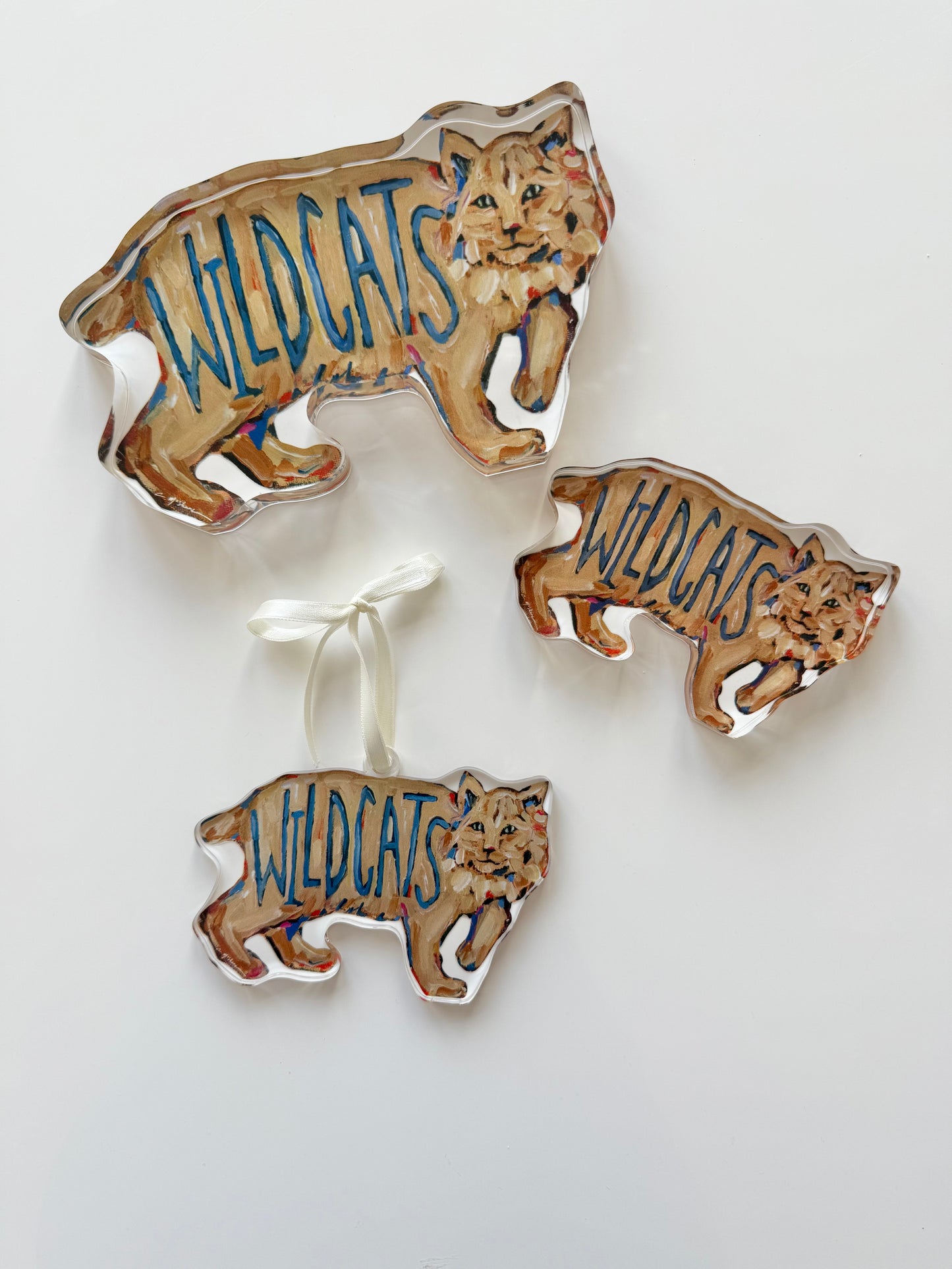"Wildcats" acrylic shelfie