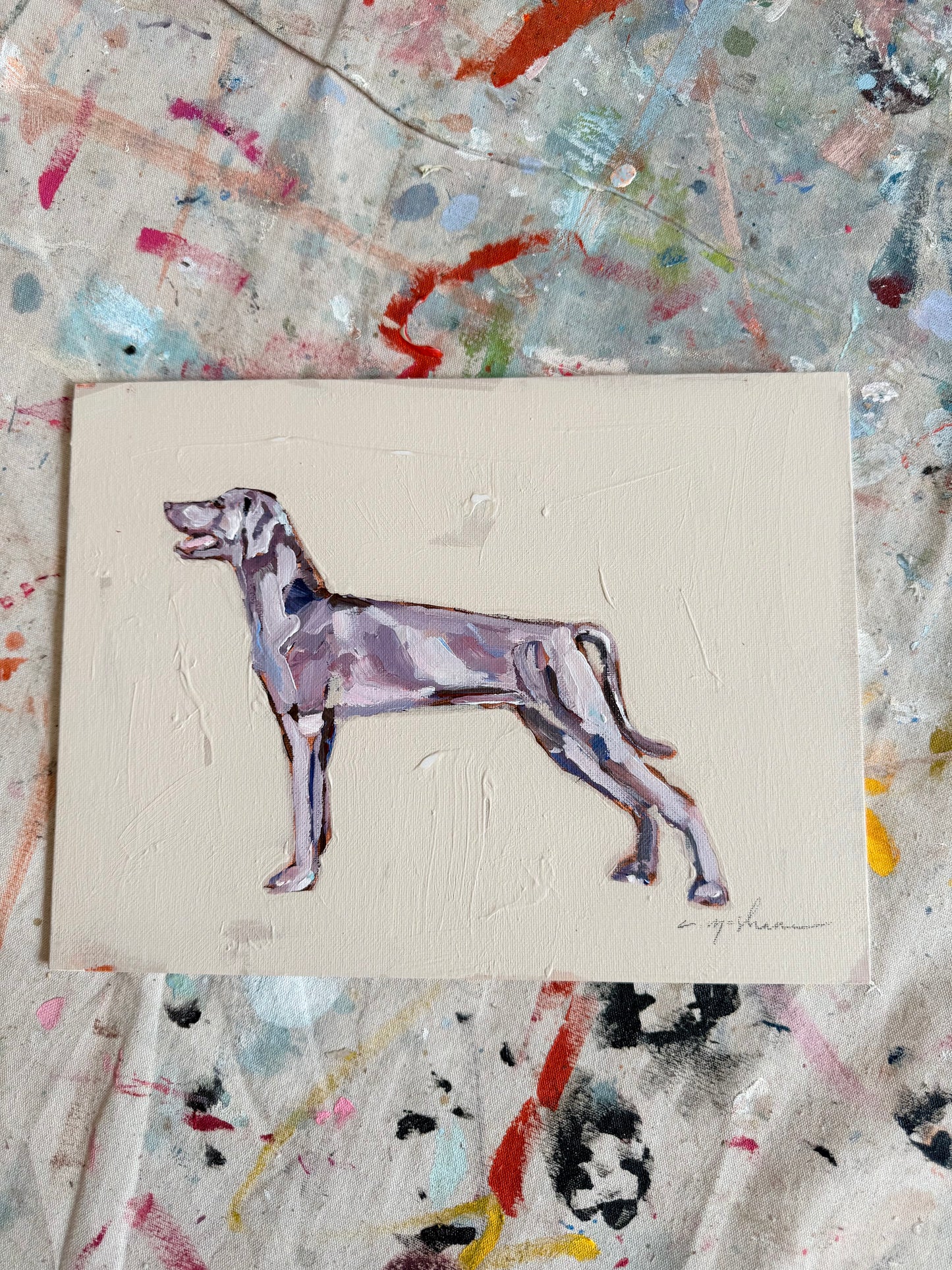 "Weimaraner" original