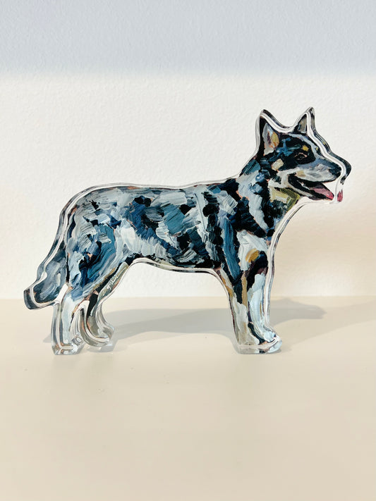 "Blue Heeler" acrylic