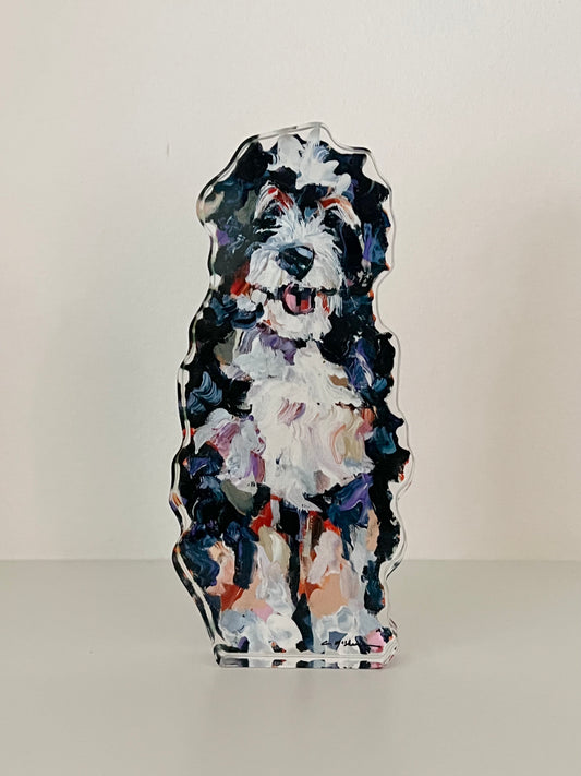 "Bernedoodle" acrylic