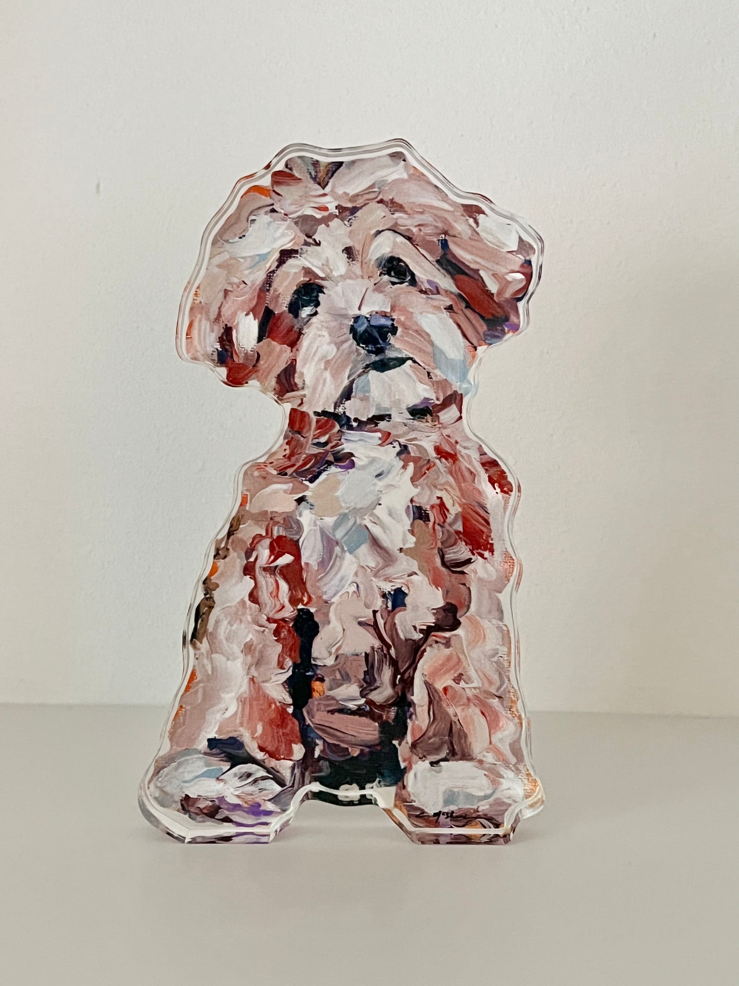 "Maltipoo Apricot" acrylic