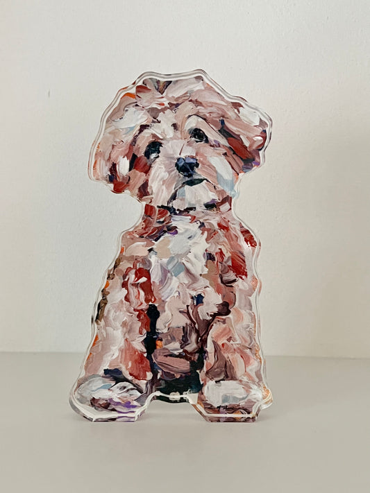 "Maltipoo Apricot" acrylic