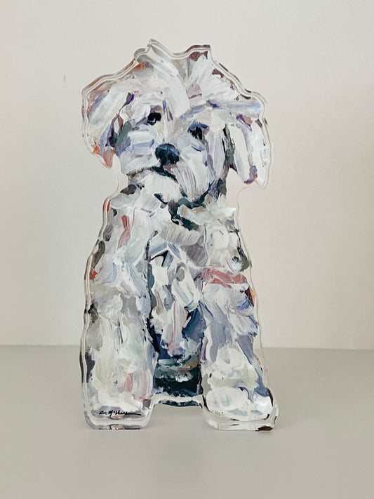 "Maltipoo White" acrylic