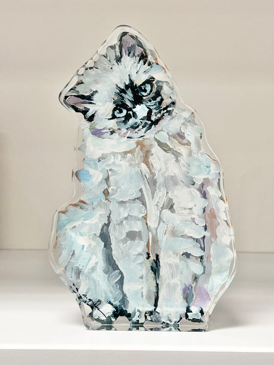 "Ragdoll White Cat" acrylic