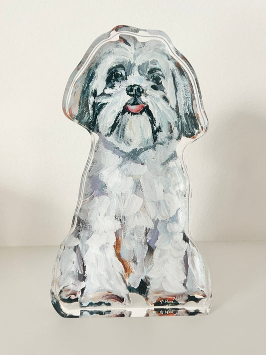"Shih Tzu White" acrylic