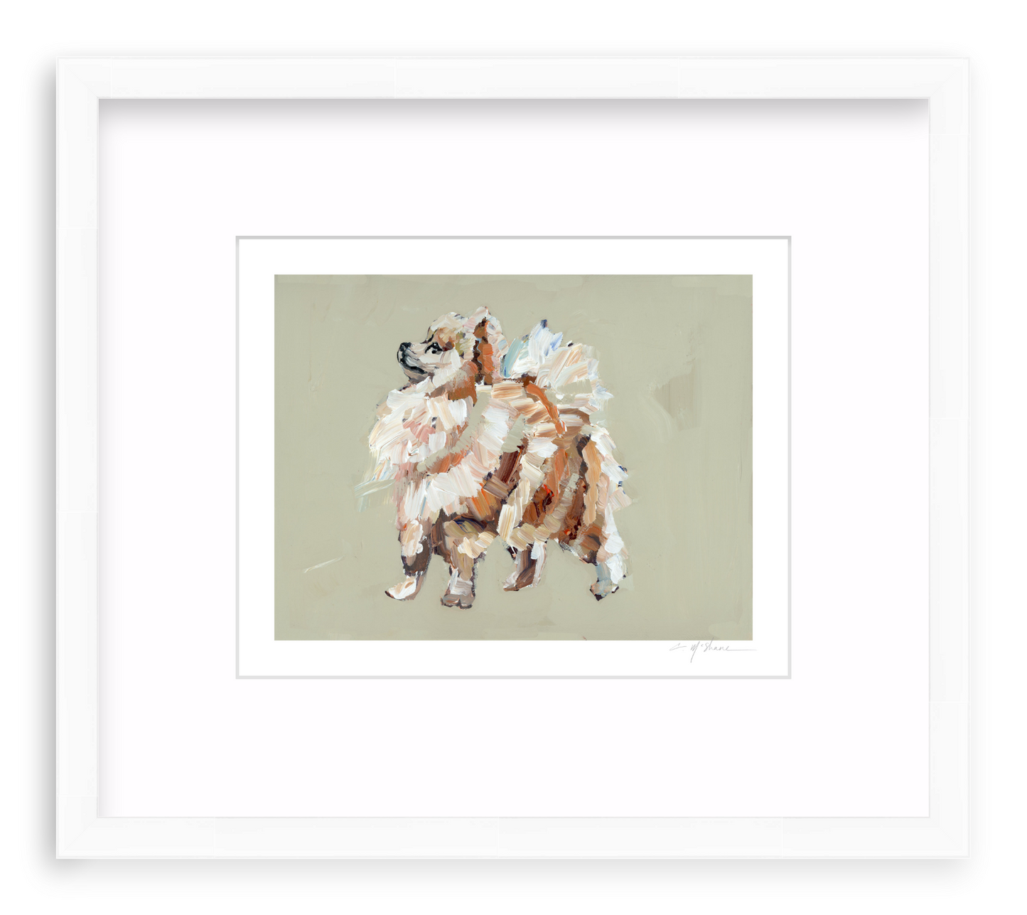 Pomeranian (tan)