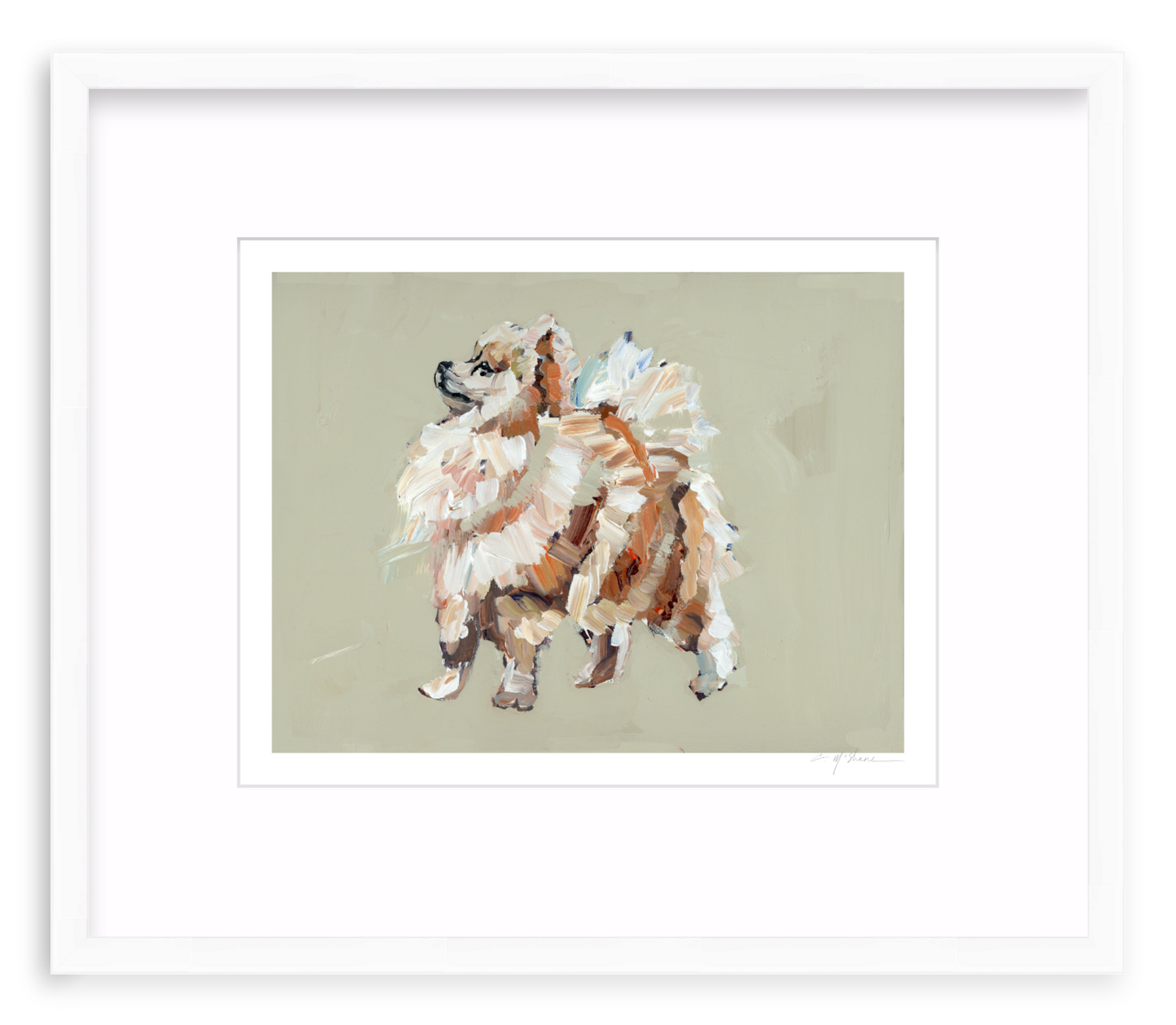 Pomeranian (tan)