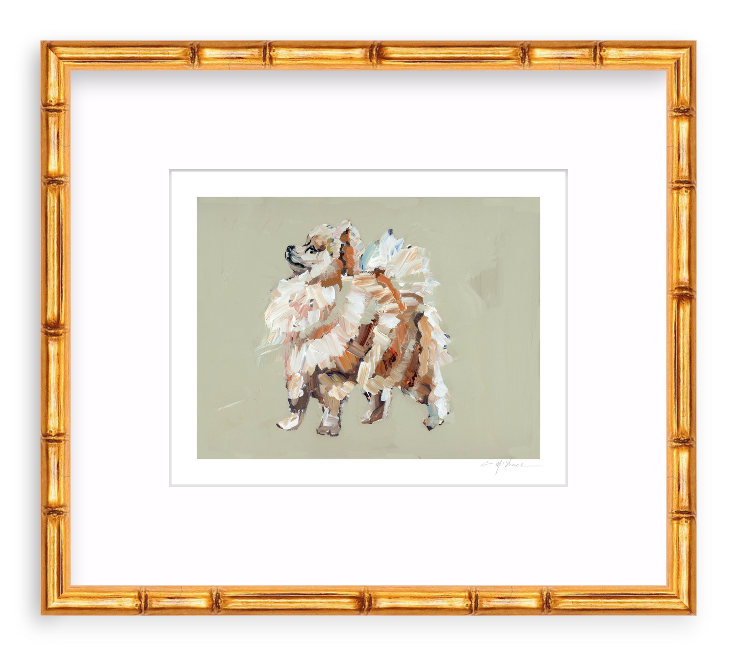 Pomeranian (tan)