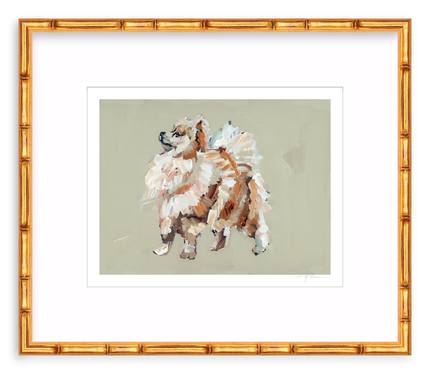 Pomeranian (tan)