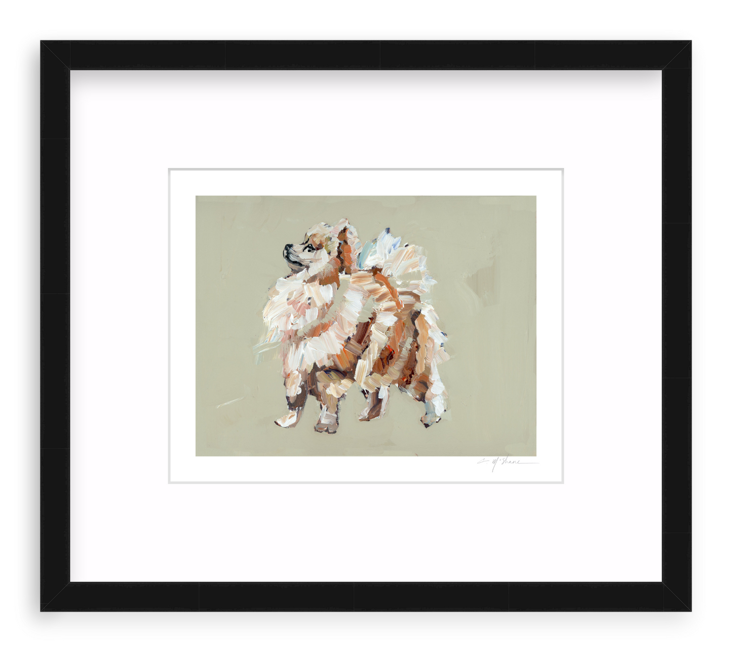 Pomeranian (tan)