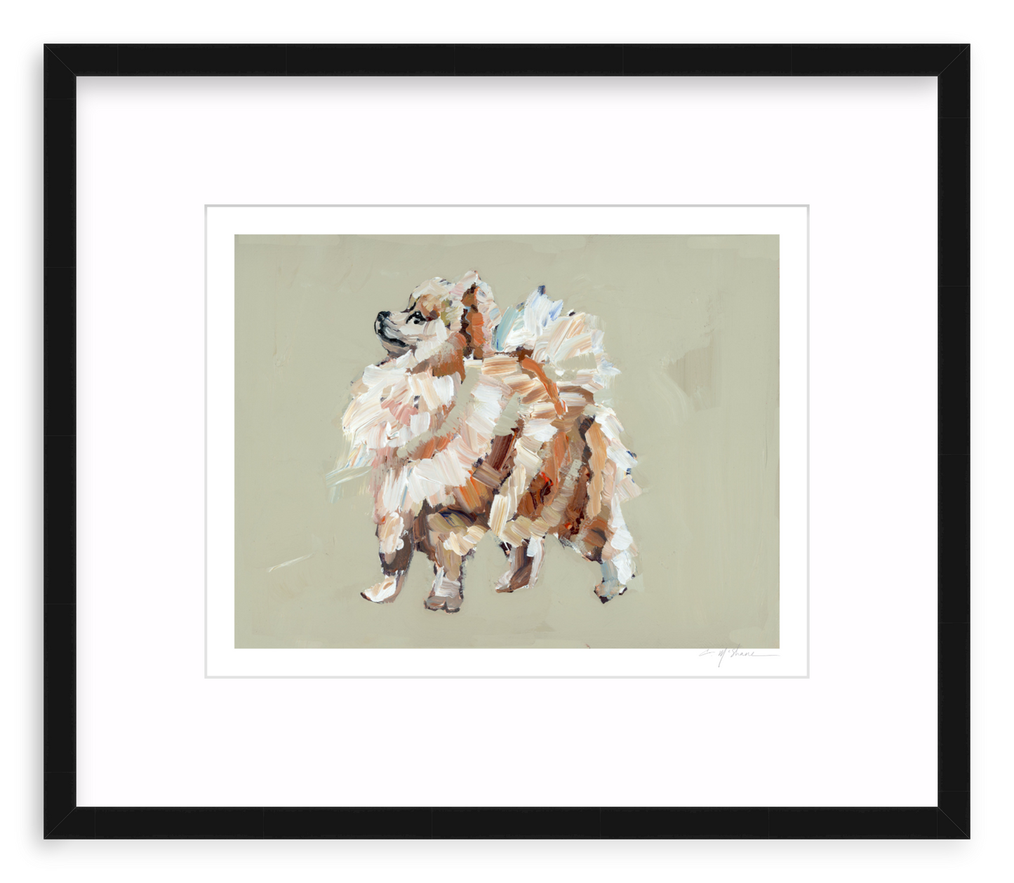 Pomeranian (tan)