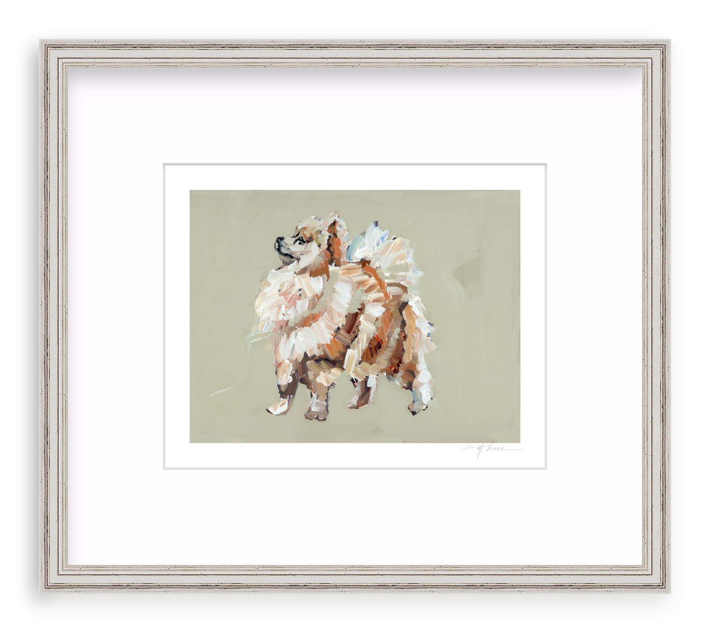 Pomeranian (tan)