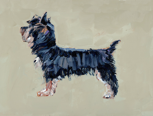 "Yorkie" on paper