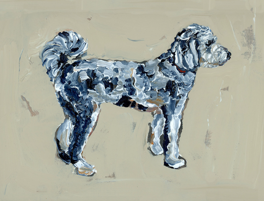 "Aussiedoodle" on paper