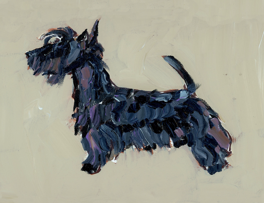"Scottie" on paper