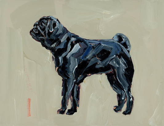 "Pug (black)" on paper