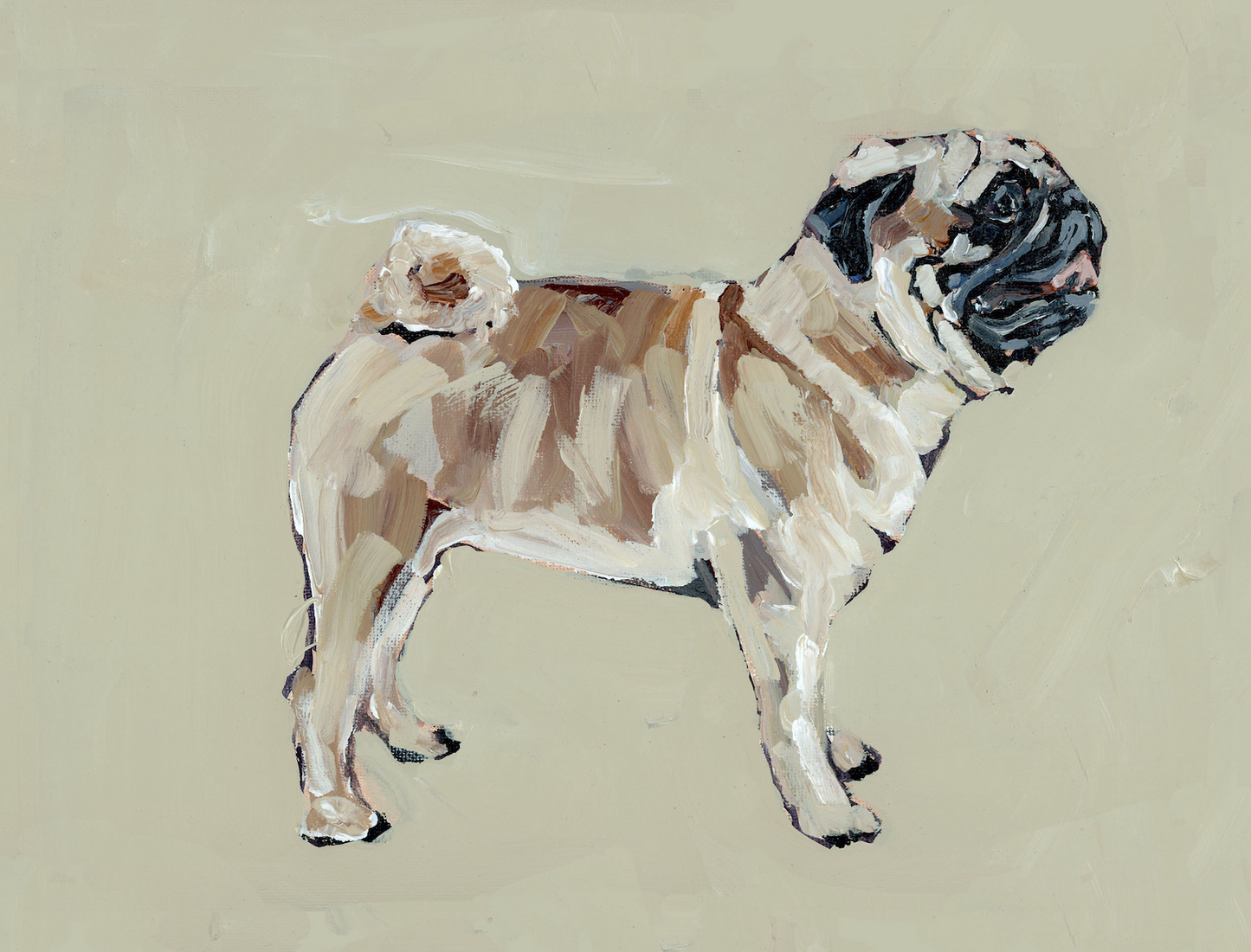 "Pug (fawn)" on paper