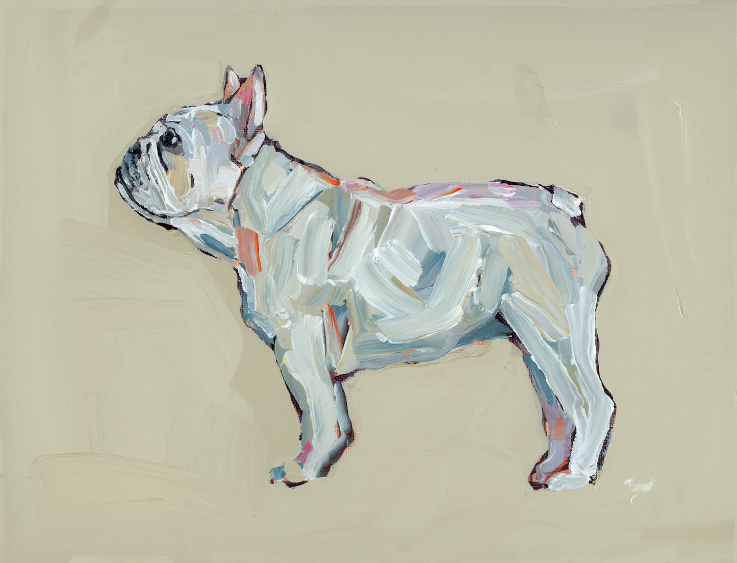 "Frenchie (white)" on paper