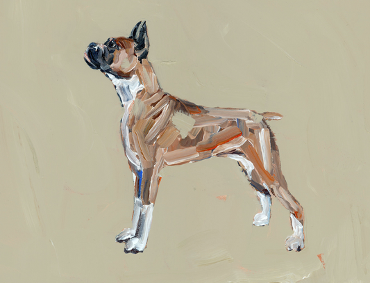 "Boxer" on paper