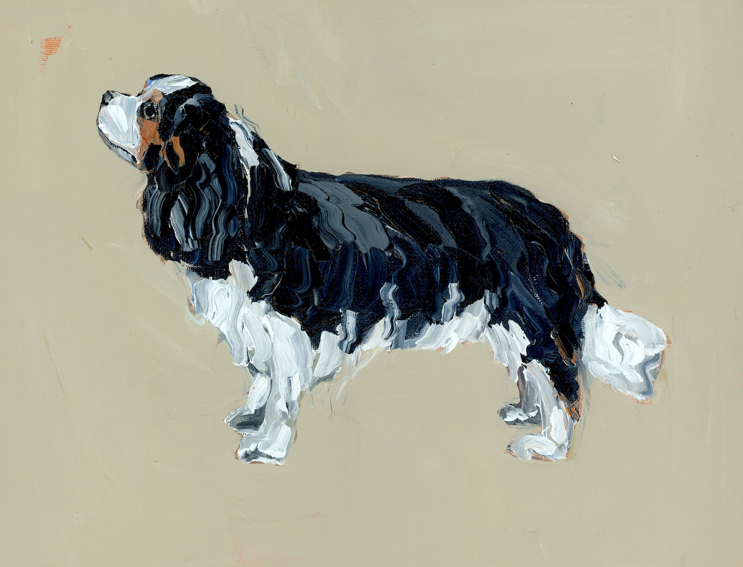 "Cavalier King Charles (tricolor)" on paper