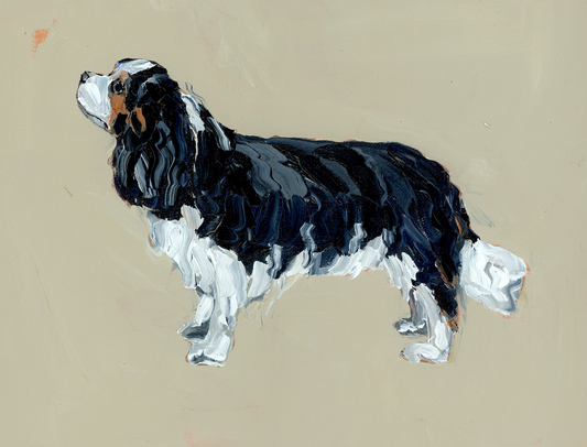 "Cavalier King Charles (tricolor)" on paper