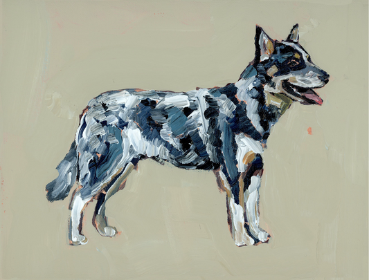 "Blue Heeler" on paper