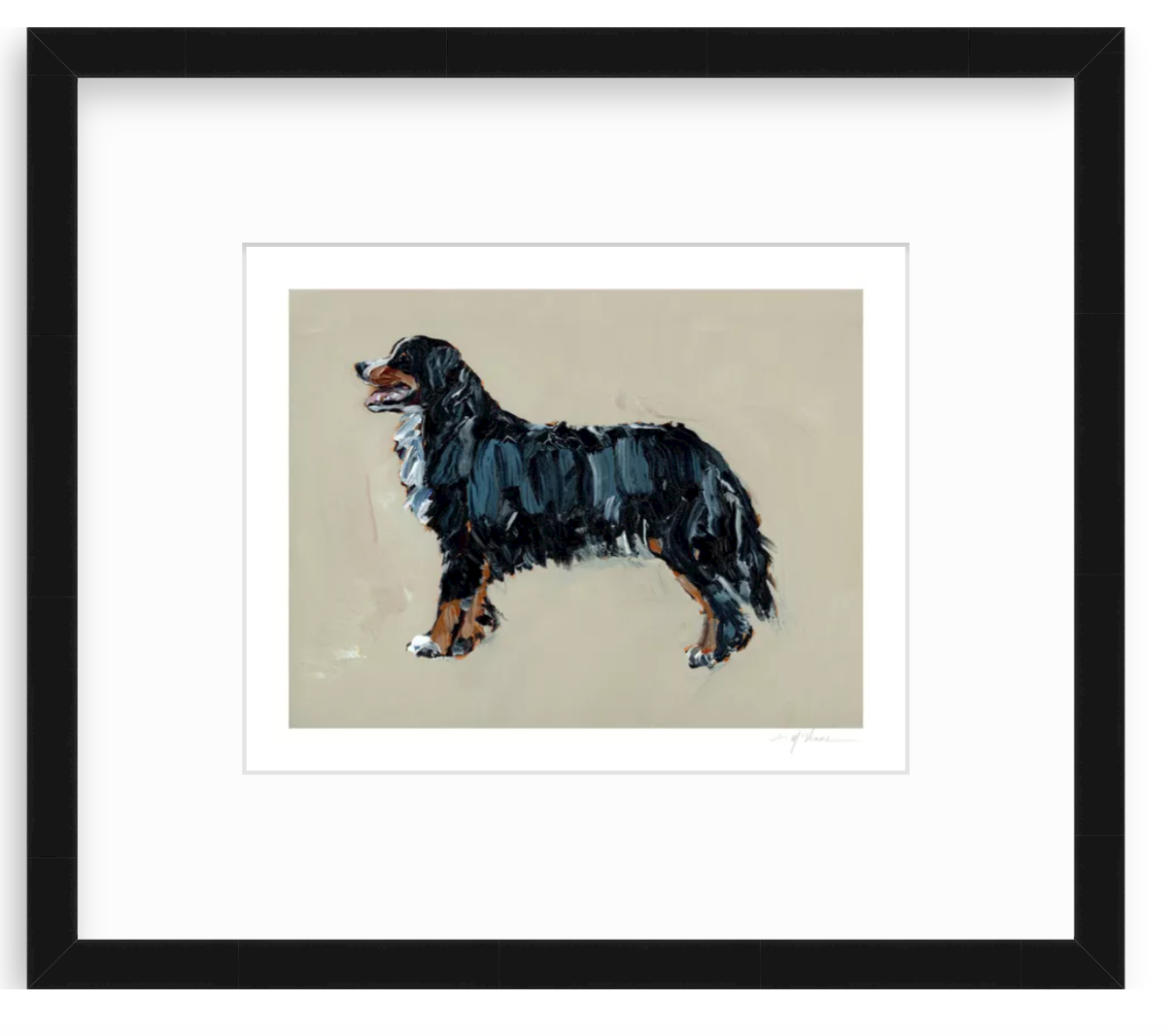 "Bernese Mountain Dog" on paper