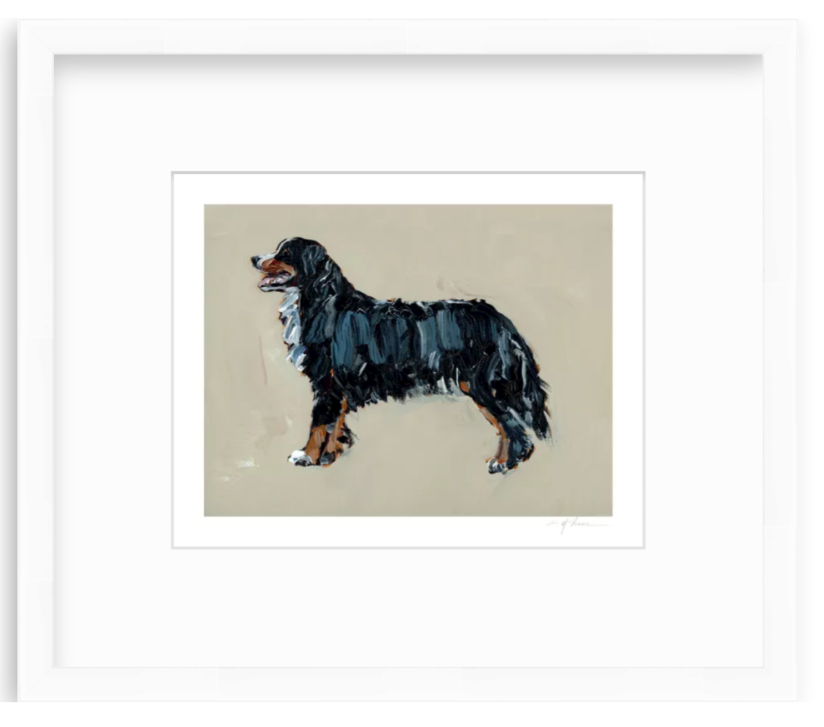 "Bernese Mountain Dog" on paper