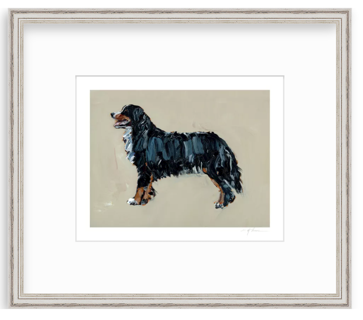 "Bernese Mountain Dog" on paper