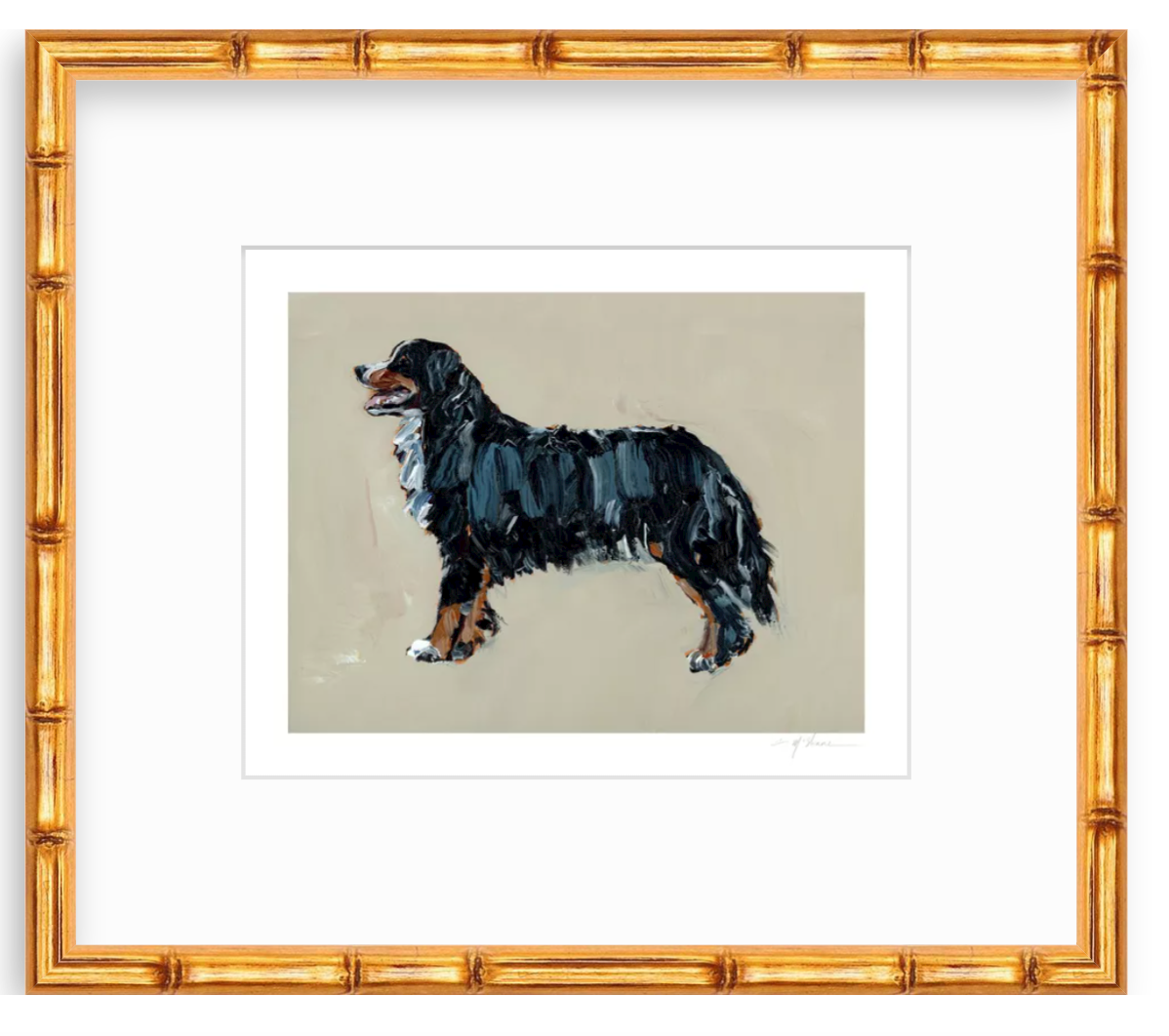"Bernese Mountain Dog" on paper