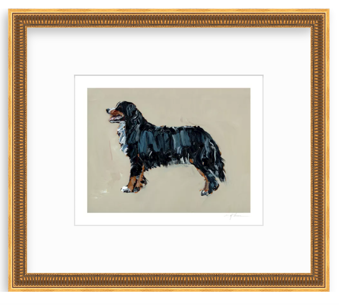 "Bernese Mountain Dog" on paper