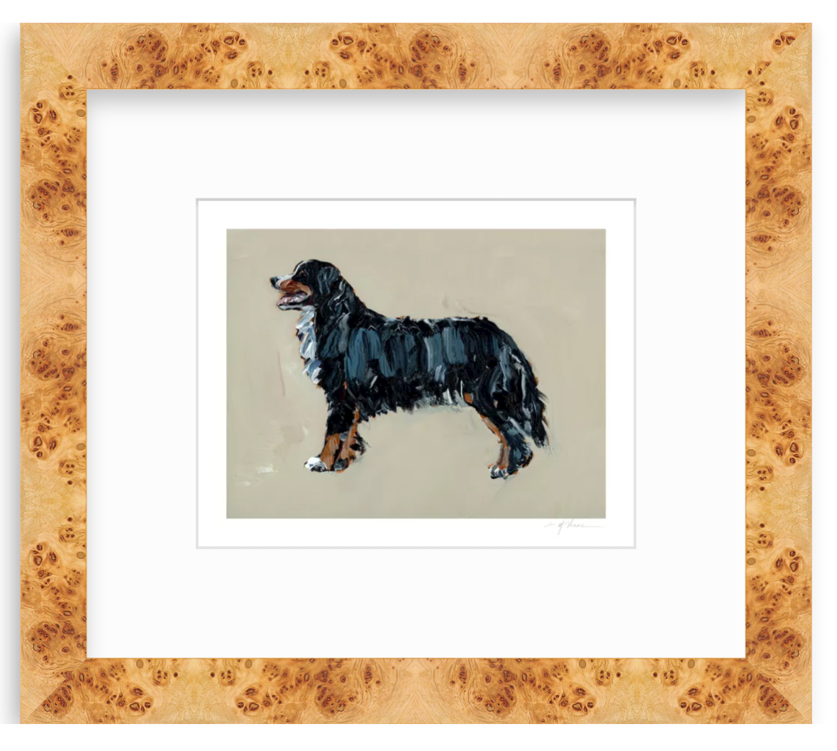 "Bernese Mountain Dog" on paper