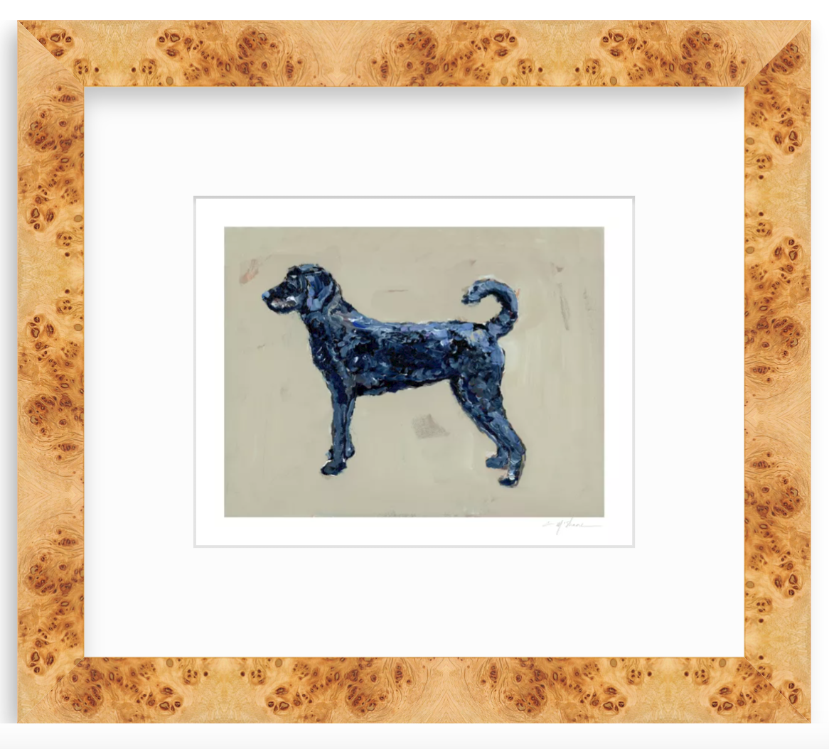 "Black Labradoodle" on paper